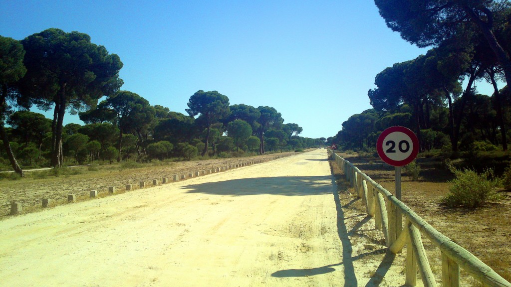 Foto: Camino La Algaida - La Algaida (Cádiz), España
