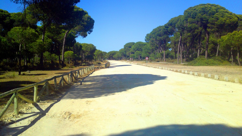 Foto: Entorno Natural Doñana - La Algaida (Cádiz), España