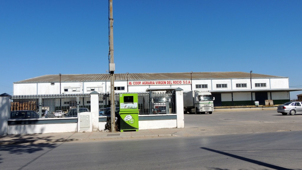 Foto: Cooperativa Virgen del Rocio - La Algaida (Cádiz), España
