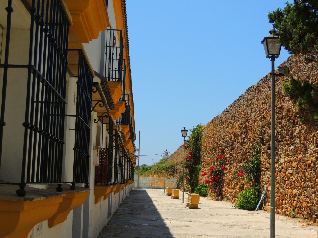 Foto: Muralla del Palacio - Zahara de los Atunes (Cádiz), España