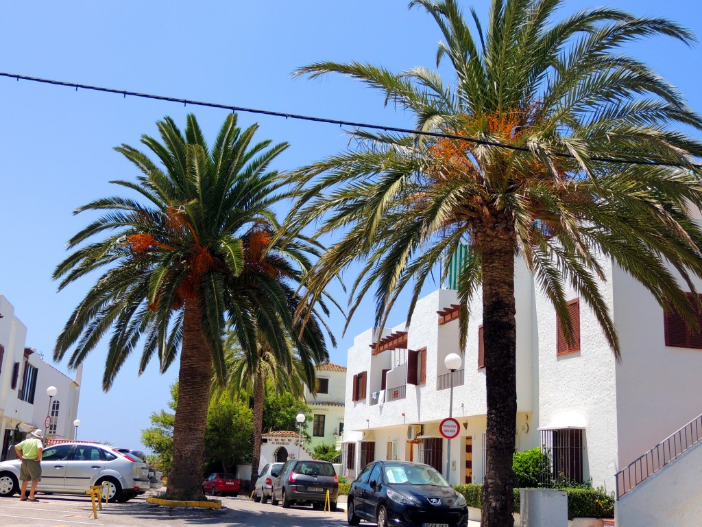 Foto: Residencial Las Palmeras - Zahara de los Atunes (Cádiz), España