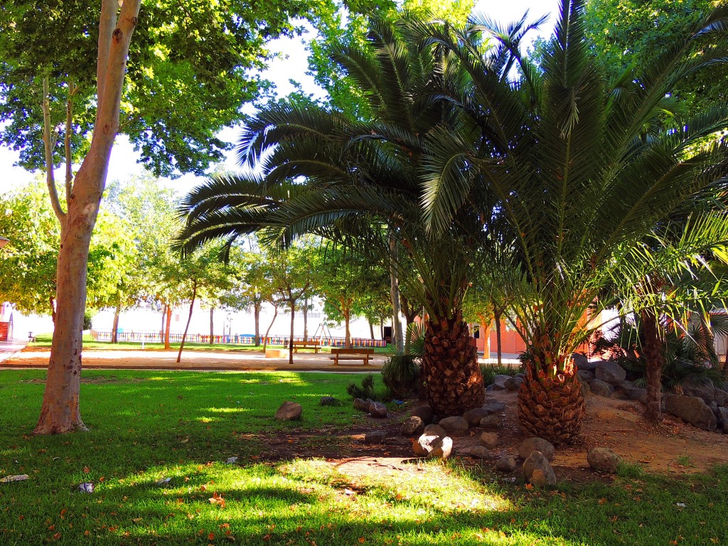 Foto de Lebrija (Sevilla), España