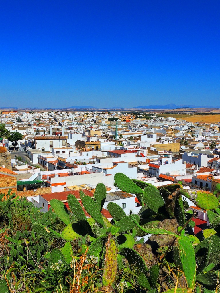 Foto de Lebrija (Sevilla), España