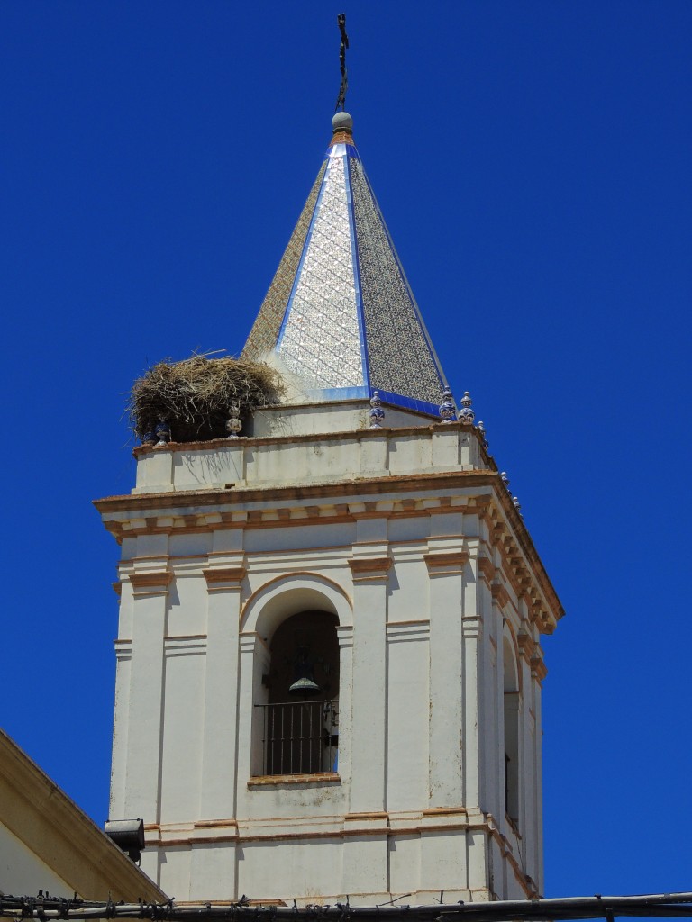 Foto: Campanario de Purísima Concepción - Trebujena (Cádiz), España