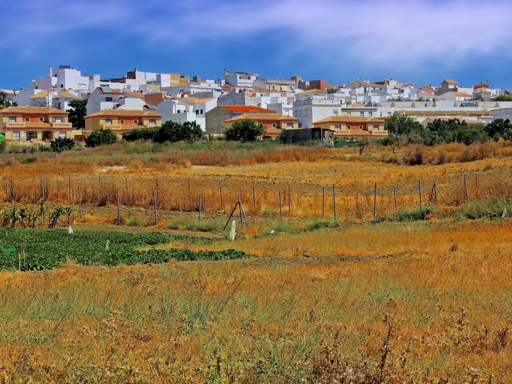 Foto: Vista de Trebujena - Trebujena (Cádiz), España