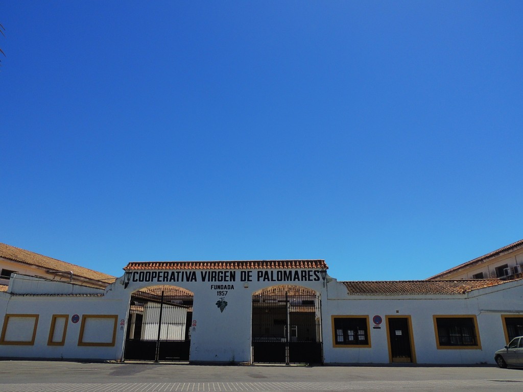 Foto: Cooperativa Virgen de Palomares - Trebujena (Cádiz), España