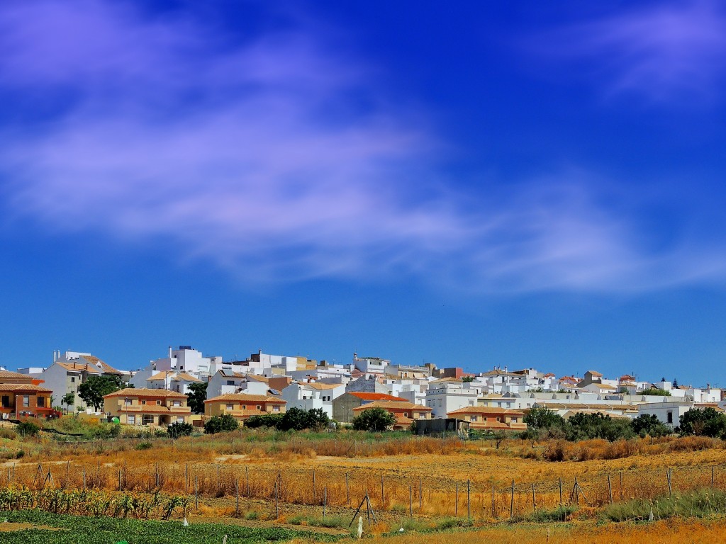Foto: Vista de Trebujena - Trebujena (Cádiz), España