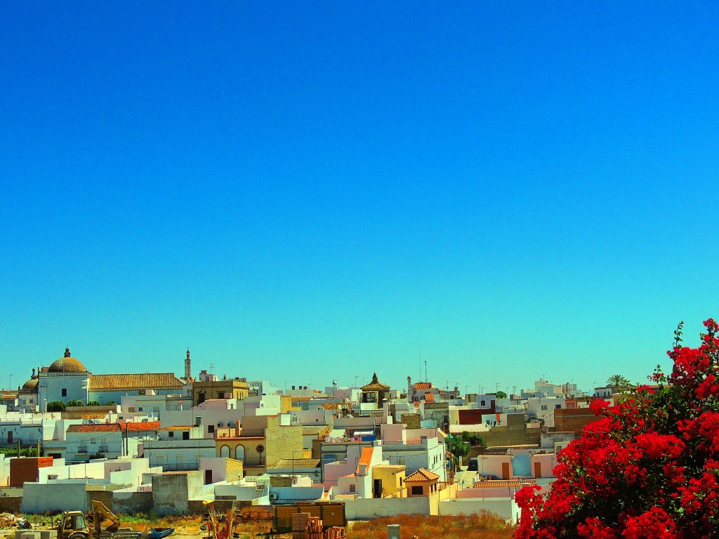 Foto: Vista de Trebujena - Trebujena (Cádiz), España