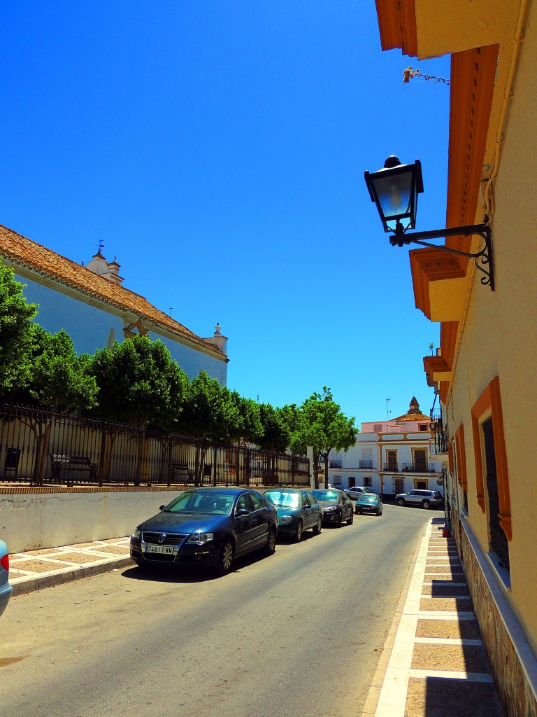 Foto: Avenida del Calvario - Trebujena (Cádiz), España