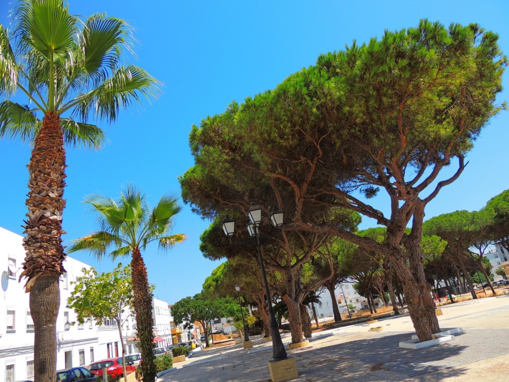 Foto de Barbate (Cádiz), España