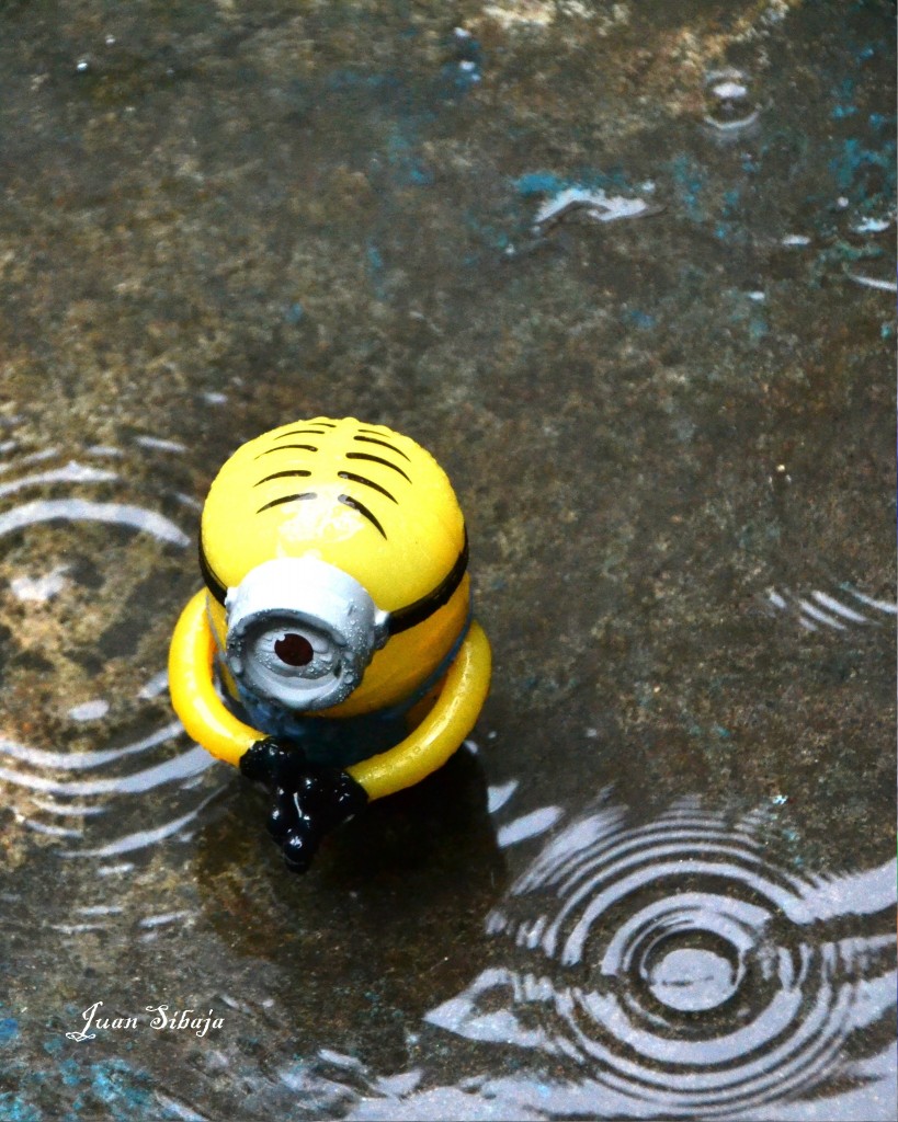 Foto de Alajuela, Costa Rica