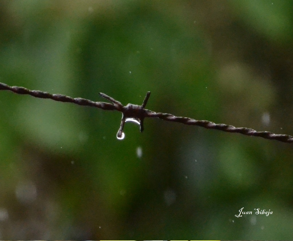 Foto de Alajuela, Costa Rica