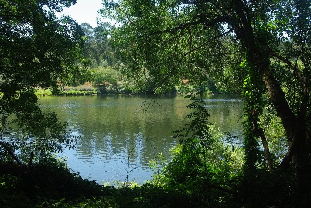 Foto de As Neves (Pontevedra), España