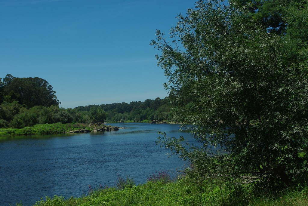 Foto de As Neves (Pontevedra), España