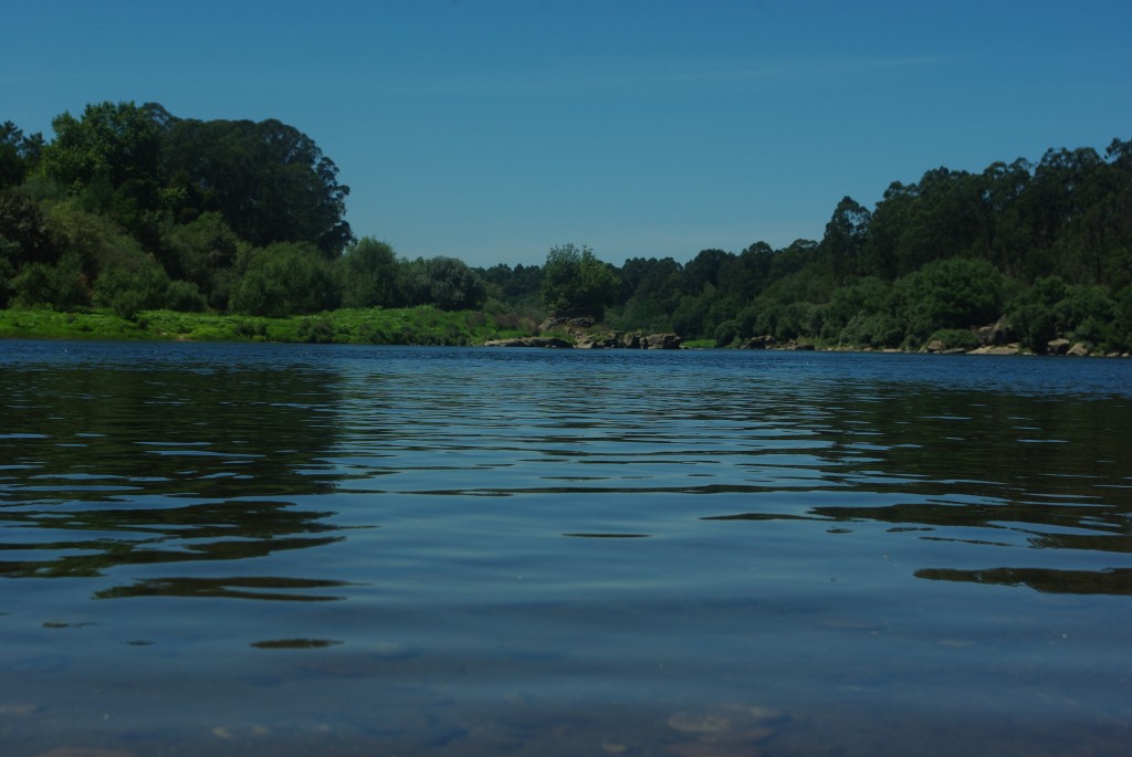 Foto de As Neves (Pontevedra), España