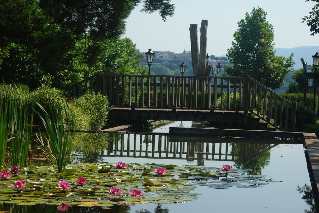 Foto de Tui (Pontevedra), España
