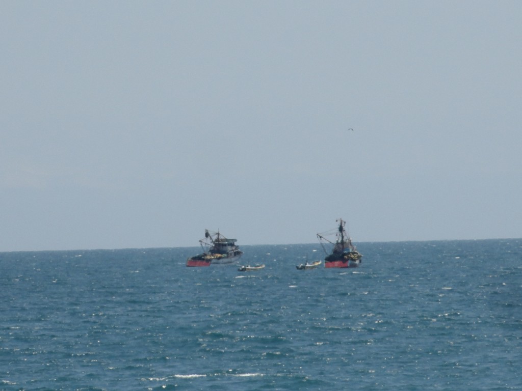 Foto: barcos - Crucitas (Manabí), Ecuador