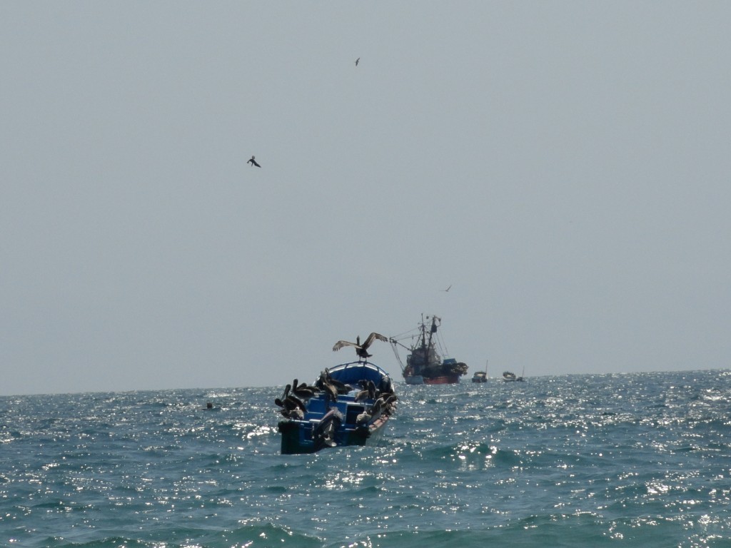 Foto: Playa - Crucitas (Manabí), Ecuador
