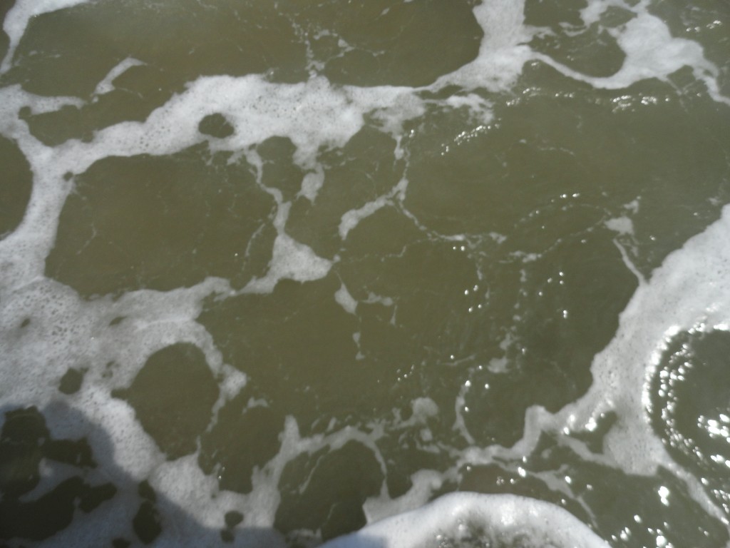 Foto: Playa - Crucitas (Manabí), Ecuador