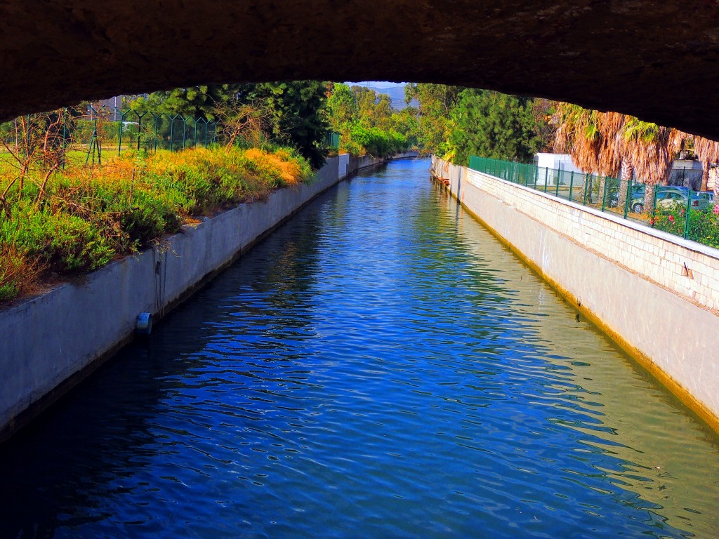 Foto: Arroyo de los Gallegos - Puente Mayorga (Cádiz), España