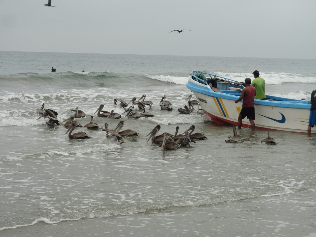 Foto: Playa - Crucitas (Manabí), Ecuador