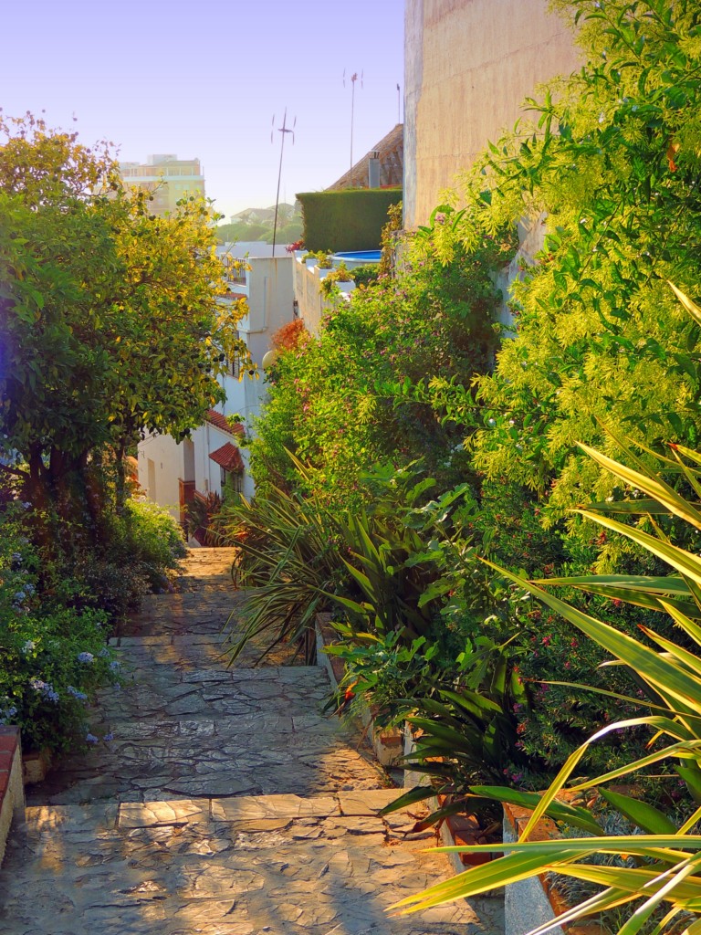 Foto: Calle Médico Augusto Alcaide - San Roque (Cádiz), España