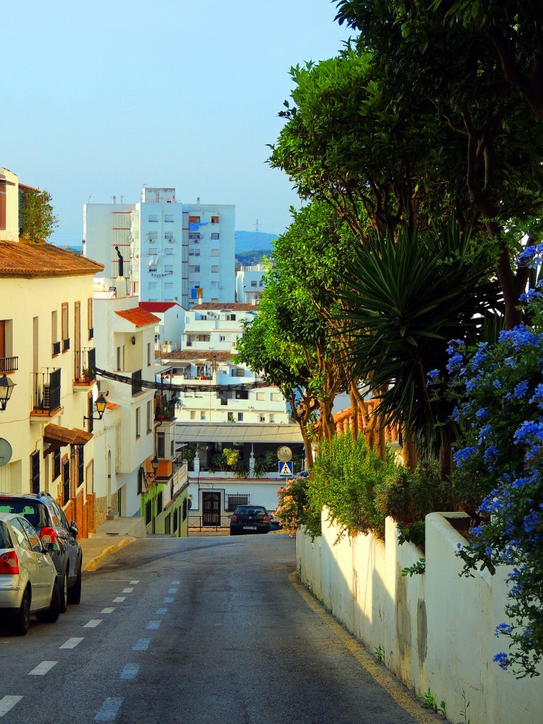 Foto: Calle Las Higueras - San Roque (Cádiz), España