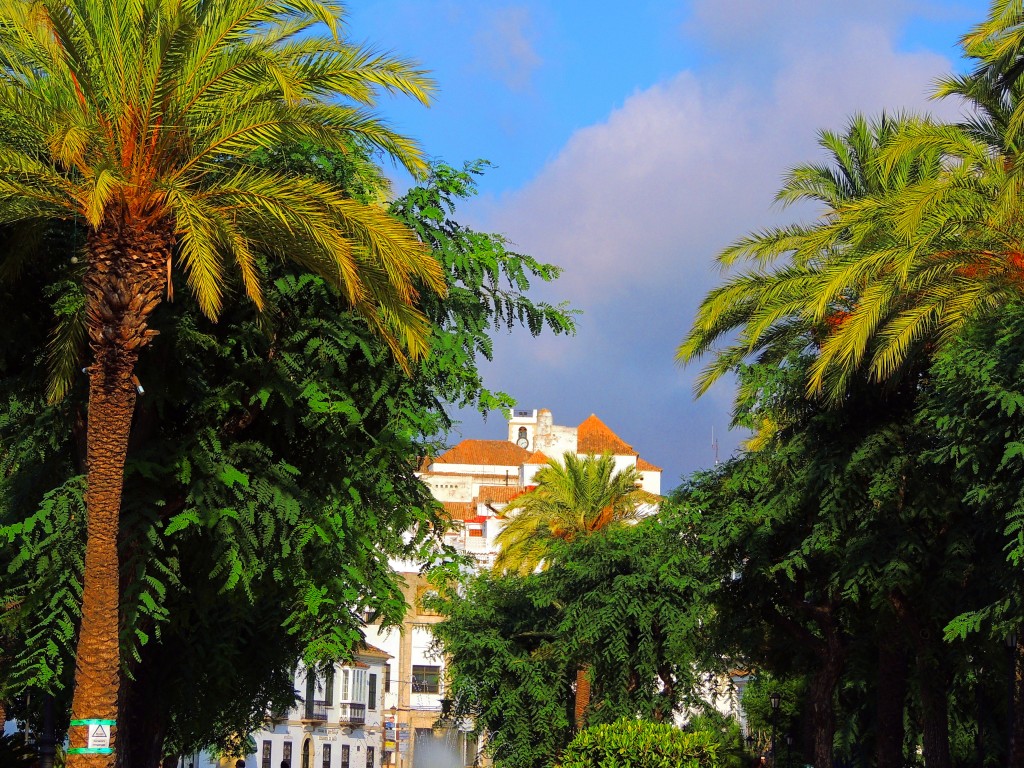 Foto: Desde Alfonso XI - San Roque (Cádiz), España