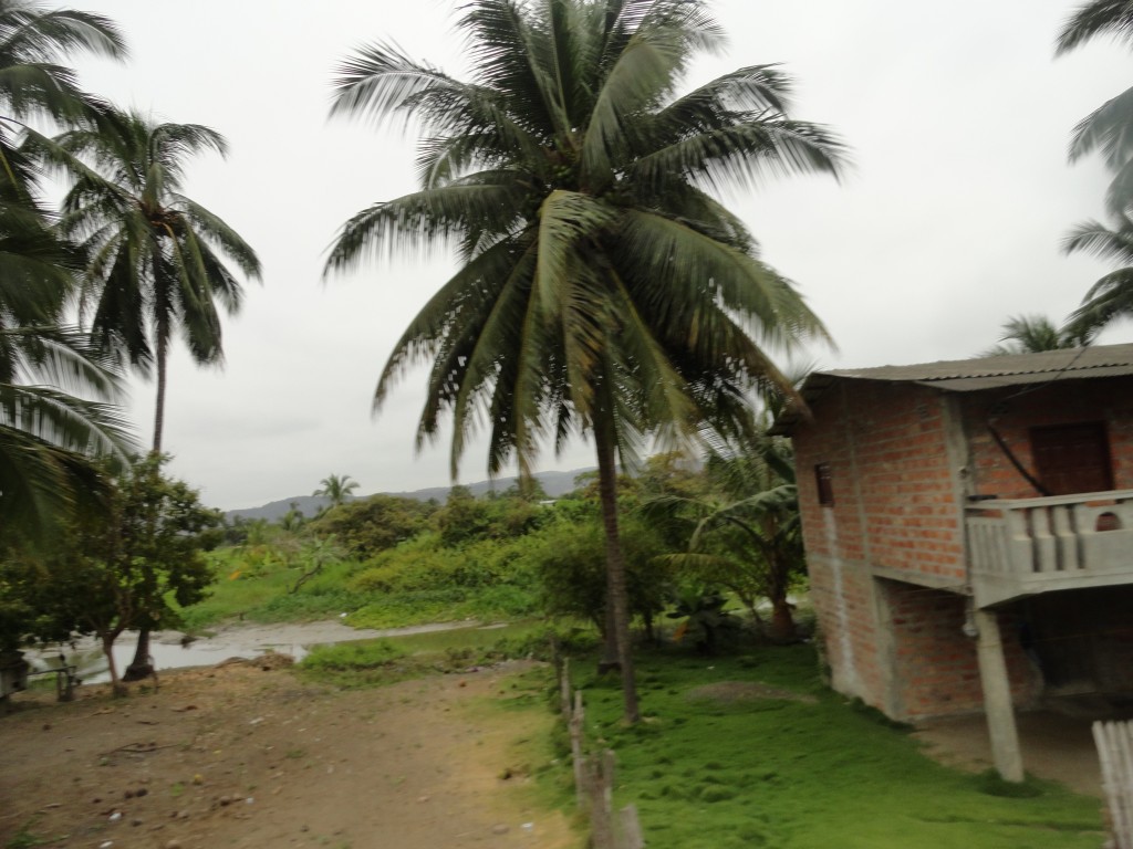 Foto: Paisaje - Crucitas (Manabí), Ecuador