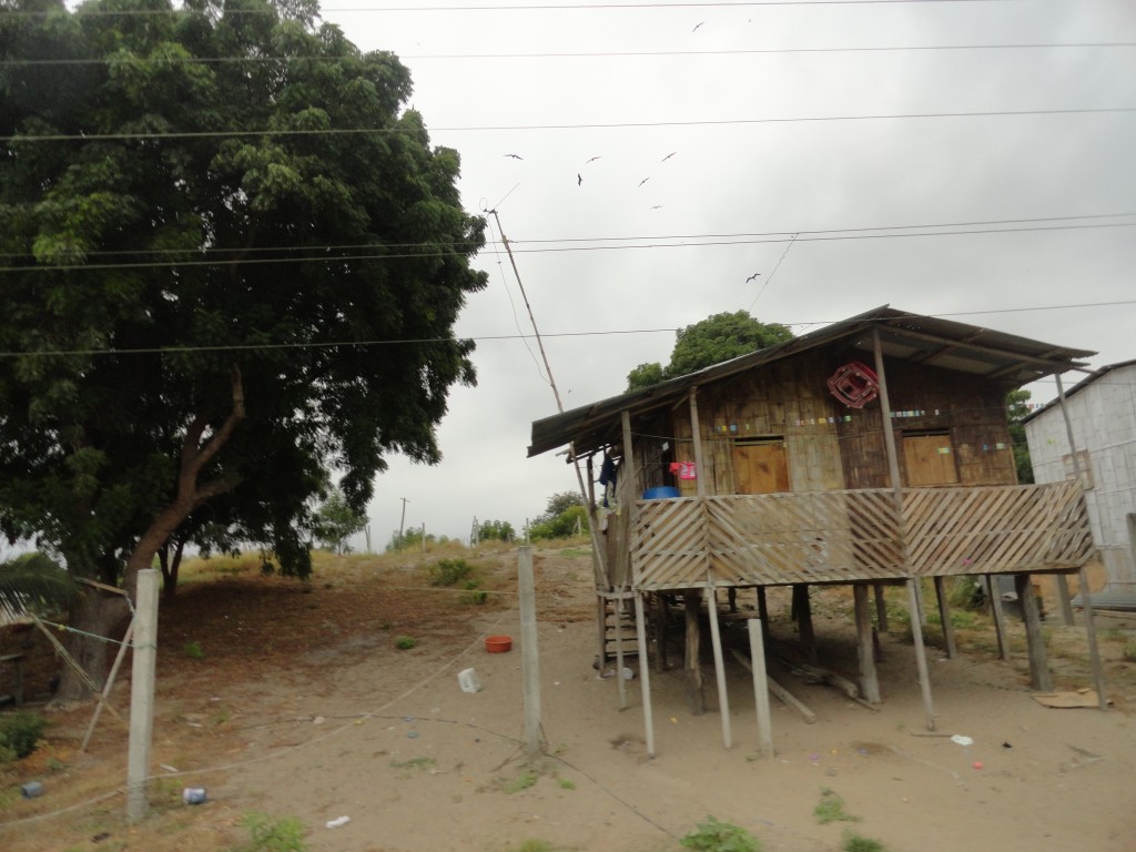 Foto: Paisaje - Crucitas (Manabí), Ecuador
