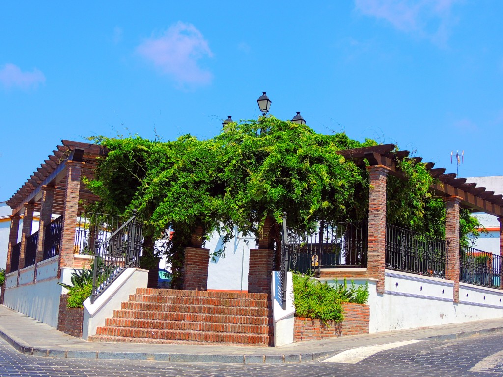 Foto: En Callejón del Loro - Los Barrios (Cádiz), España