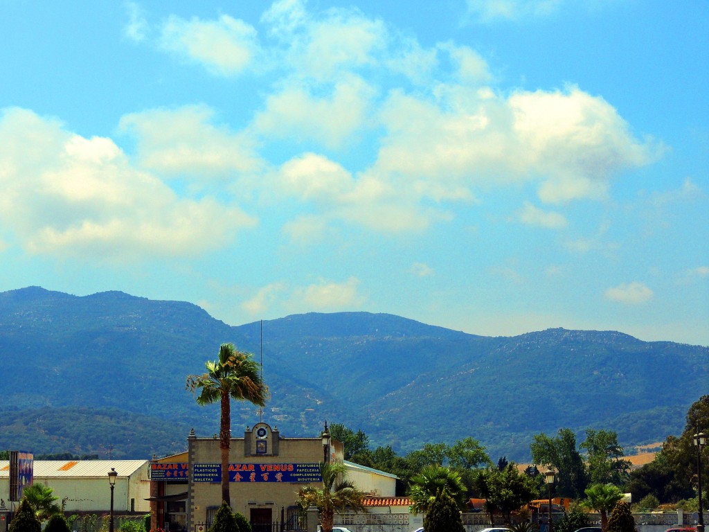 Foto: Los Alcornocales - Los Barrios (Cádiz), España