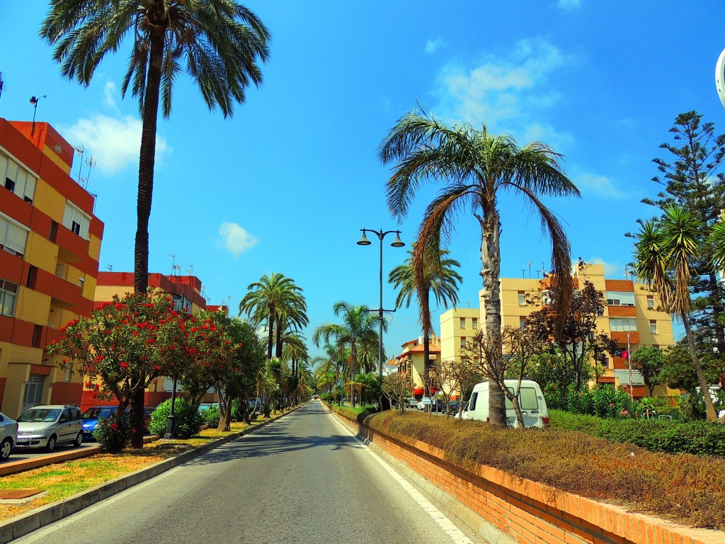Foto: Avenida Antonio Machado - Los Barrios (Cádiz), España