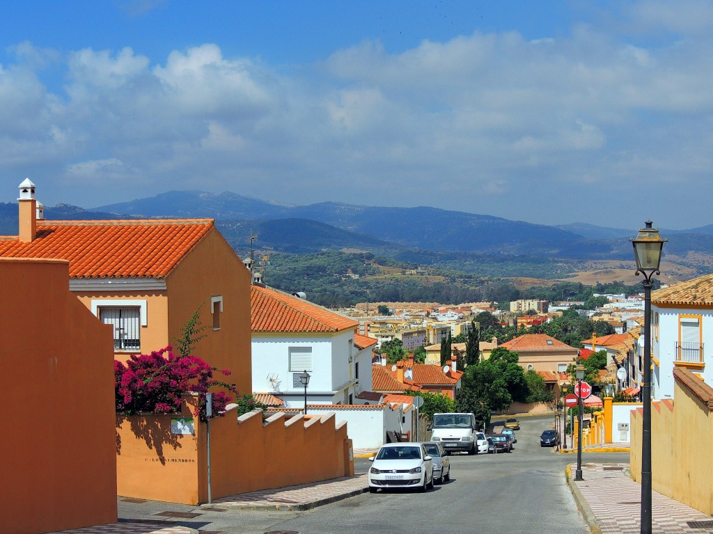 Foto: Calle Los Algarrobos - Los Barrios (Cádiz), España
