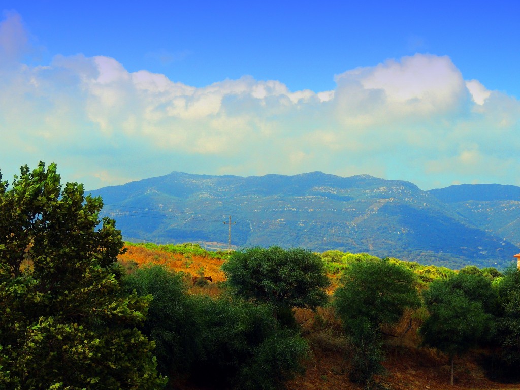 Foto: Vista desde Los Barrios - Los Barrios (Cádiz), España