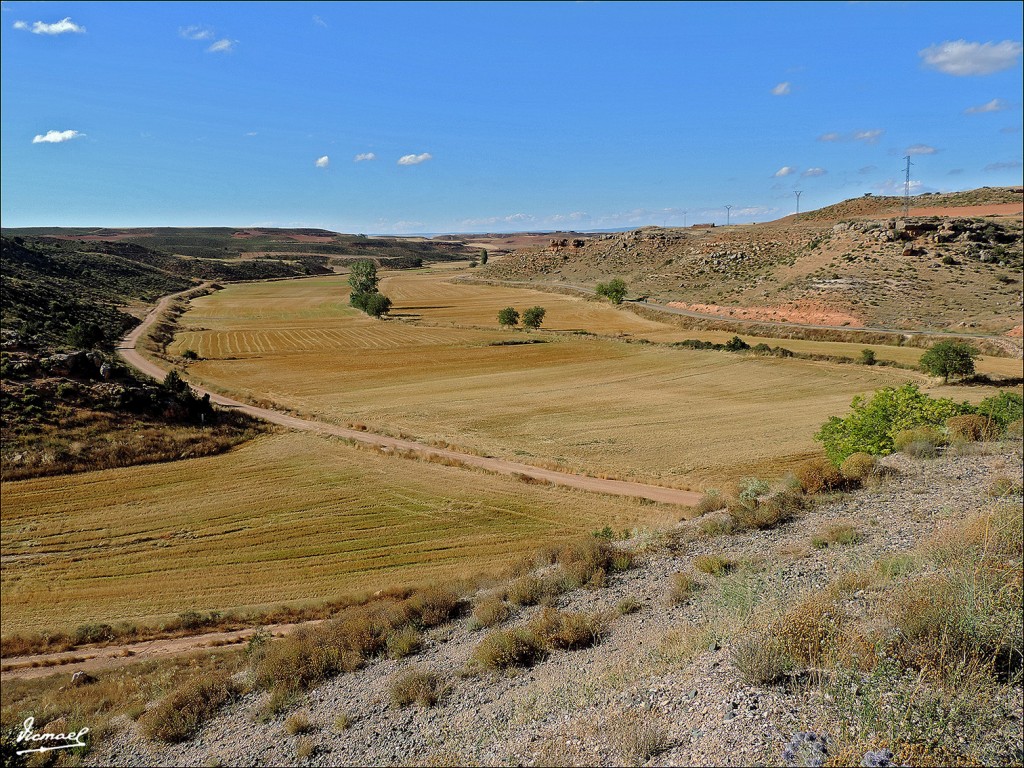 Foto: 130808-01 ALCONCHEL, PTE - Alconchel De Ariza (Zaragoza), España