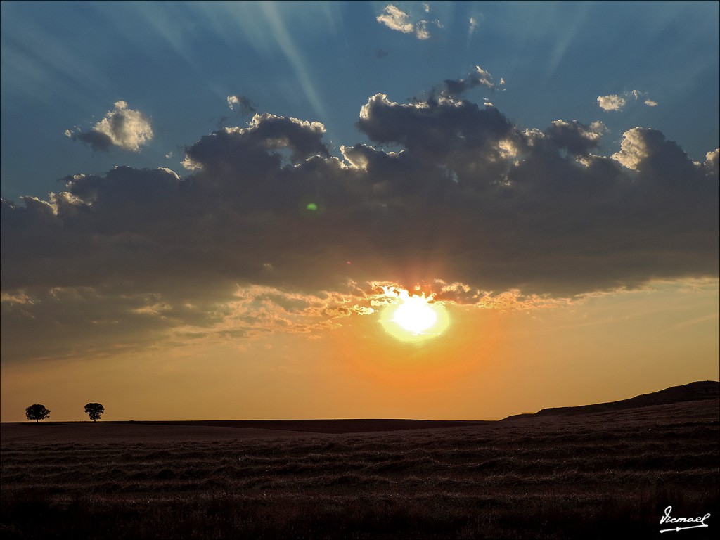 Foto: 130822-06 ALCONCHEL DE ARIZA - Alconchel De Ariza (Zaragoza), España