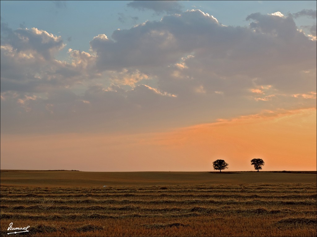Foto: 130822-09 ALCONCHEL DE ARIZA - Alconchel De Ariza (Zaragoza), España