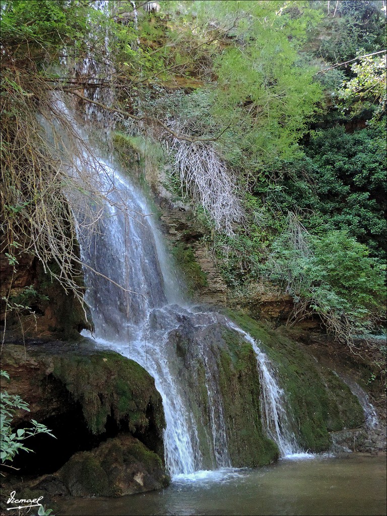 Foto: 130821-03 VELILLA, RIO BLANCO - Velilla De Medinaceli (Soria), España