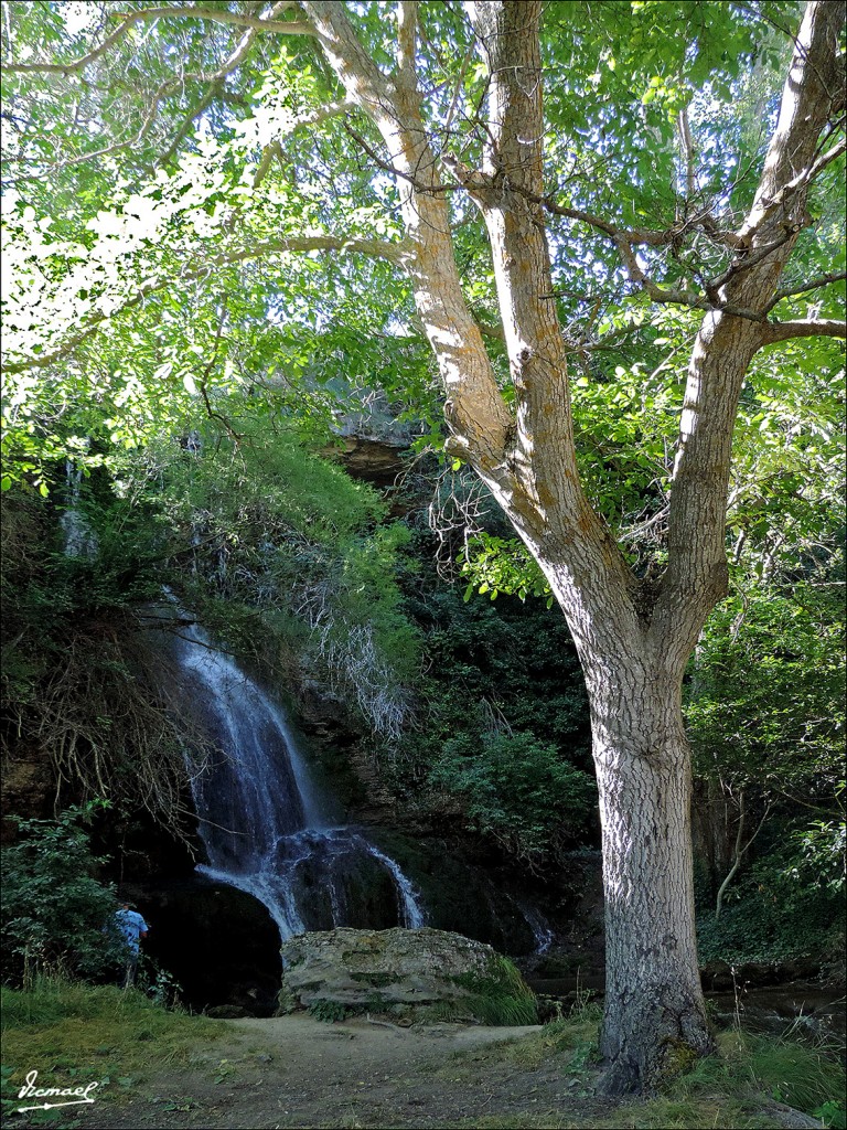 Foto: 130821-05 VELILLA, RIO BLANCO - Velilla De Medinaceli (Soria), España