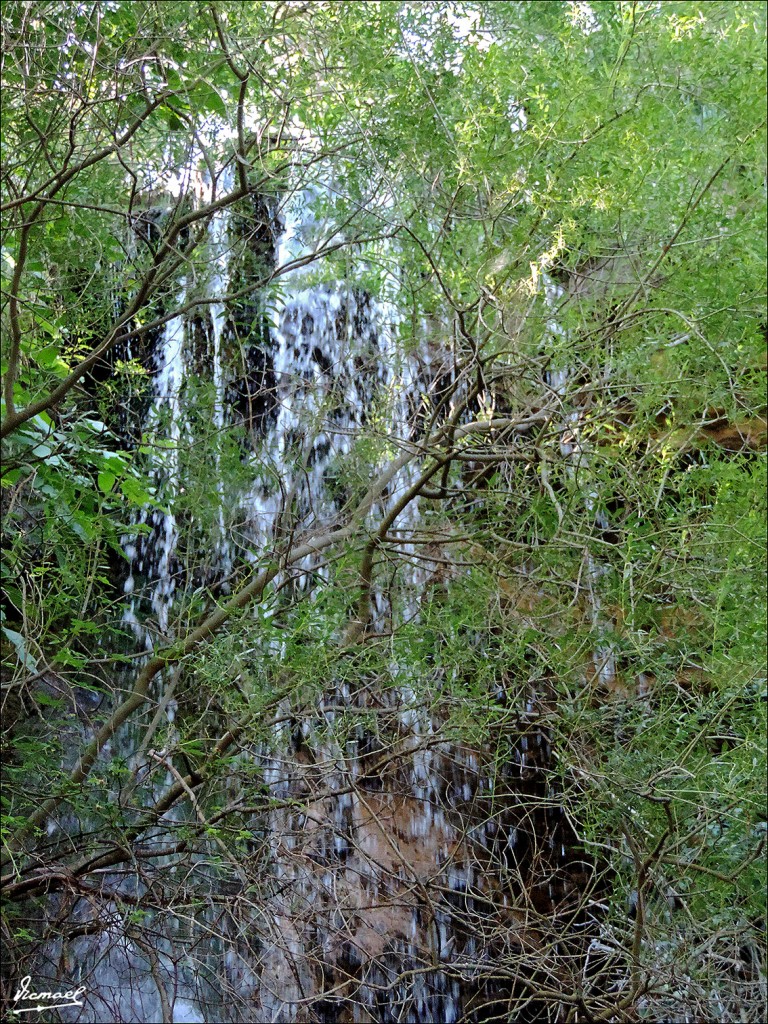 Foto: 130821-07 VELILLA, RIO BLANCO - Velilla De Medinaceli (Soria), España