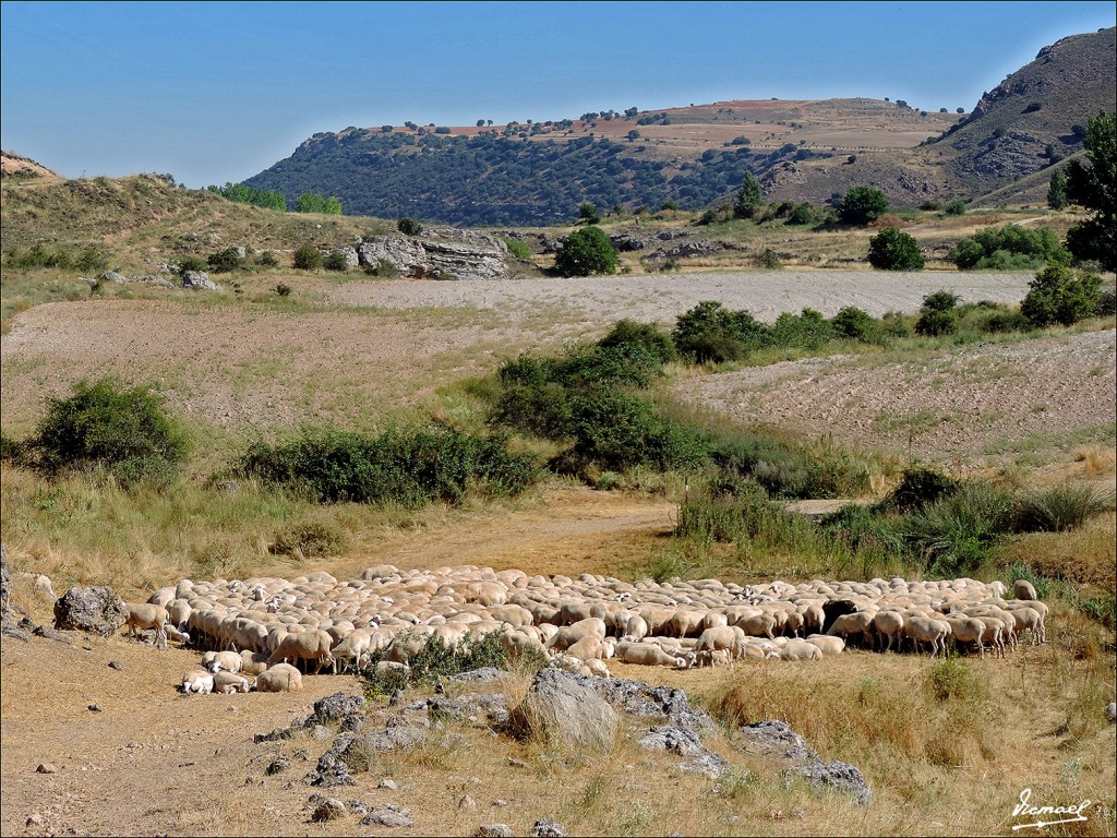 Foto: 130821-13 VELILLA, RIO BLANCO - Velilla De Medinaceli (Soria), España