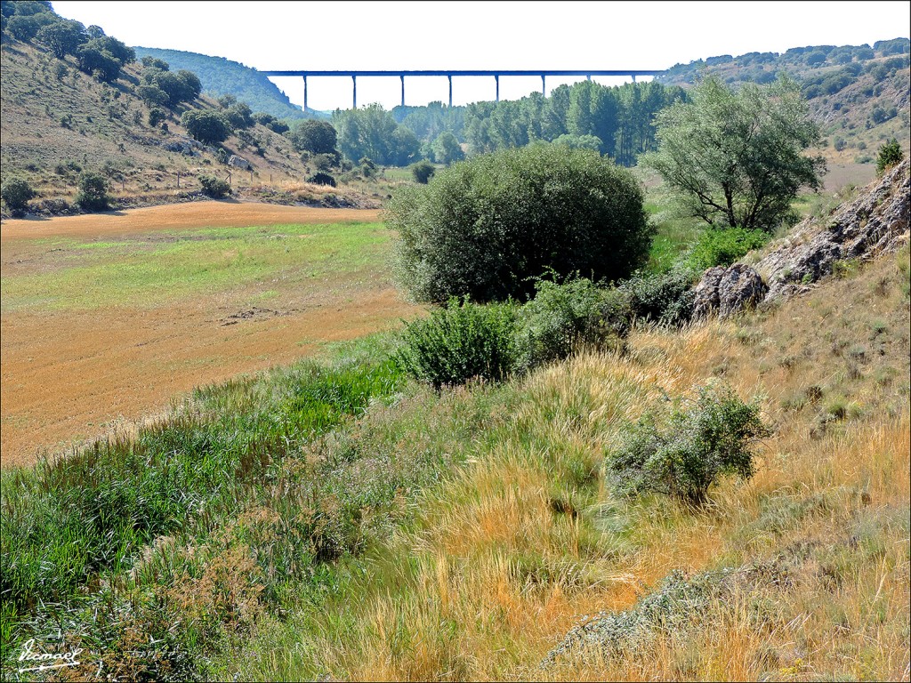 Foto: 130821-14 VELILLA, RIO BLANCO - Velilla De Medinaceli (Soria), España