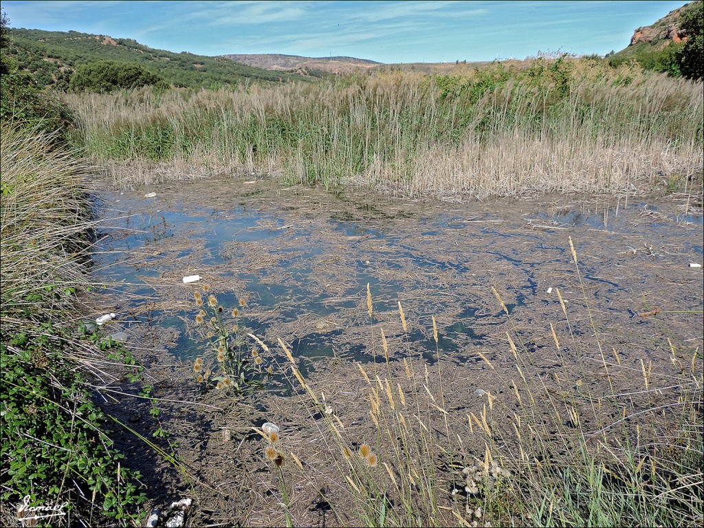 Foto: 130825-12 SOMAEN, RIO BLANCO - Somaen (Soria), España