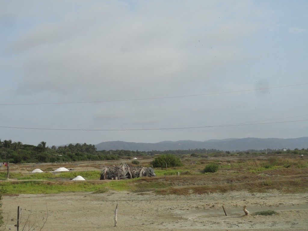 Foto: Salero - Crucitas (Manabí), Ecuador