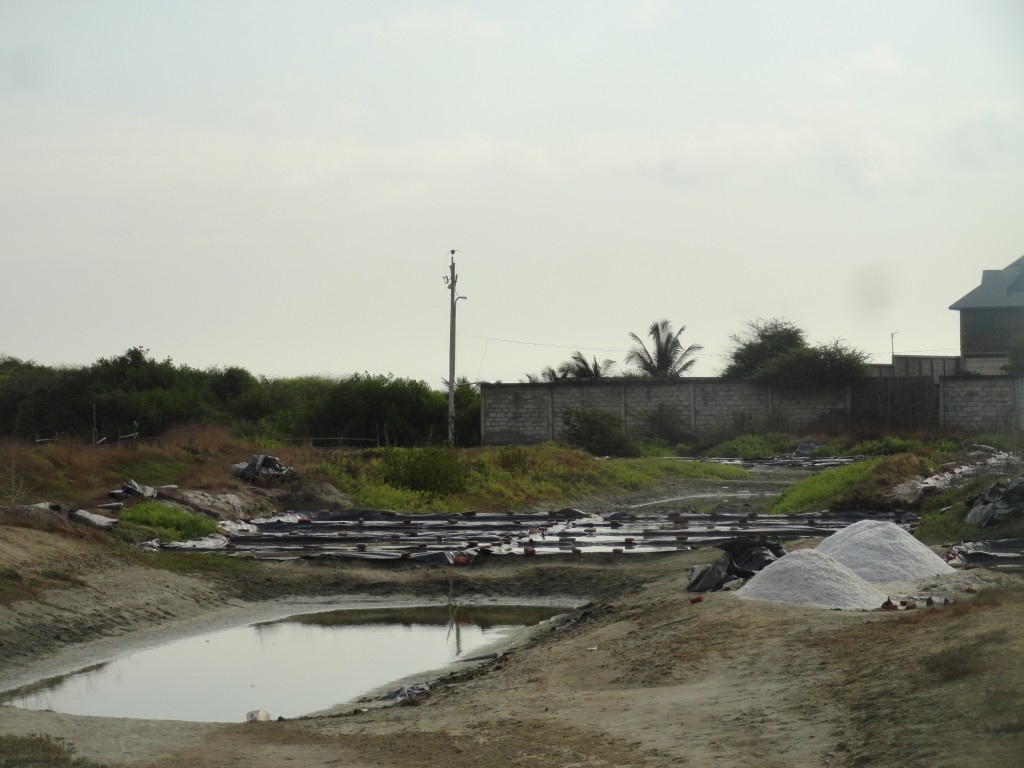 Foto: Salero - Crucitas (Manabí), Ecuador