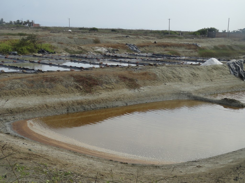 Foto: Salero - Crucitas (Manabí), Ecuador
