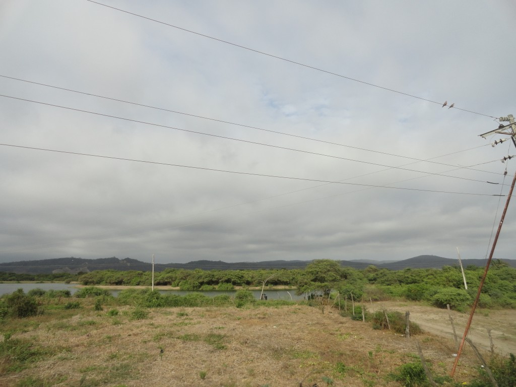 Foto: Salero - Crucitas (Manabí), Ecuador