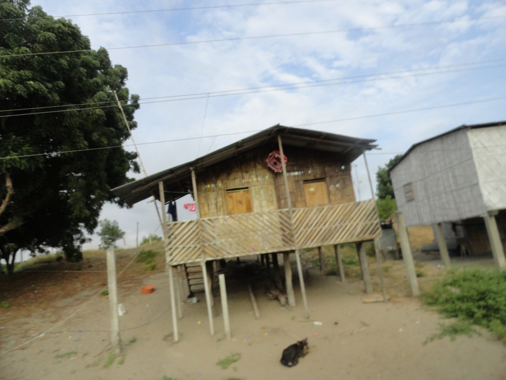 Foto: Paisaje - Crucitas (Manabí), Ecuador