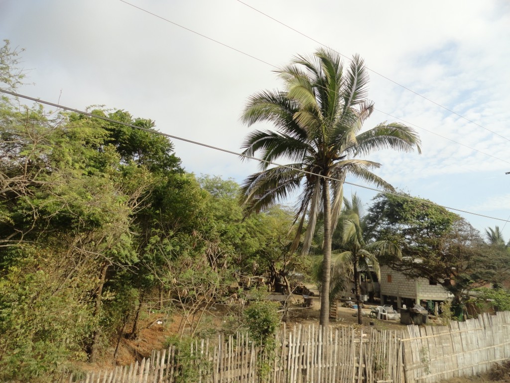 Foto: Psisaje - Crucitas (Manabí), Ecuador